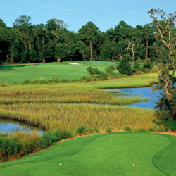 Stono Ferry Golf golfing at Links at Stono Ferry in Hollywood Sc