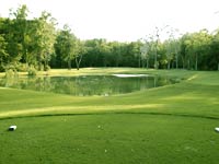 Wescott Plantation Golfing golfing at Wescott Plantation South Carolina